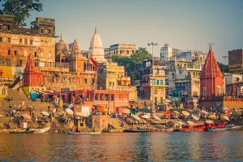 A scenic road journey across lush green tea gardens with modern car